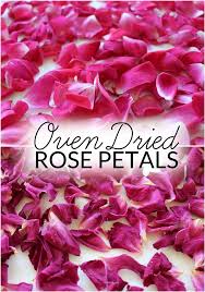 Drying Rose Petals Dried Rose Petals Drying Roses Rose Petals