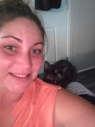 Is anyone missing a little gray kitty with a purple harness in Pierce  County, Washington?