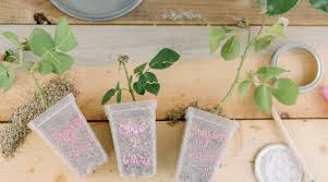 Image result for cuttings of roses