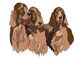 Check out our free dog breed coloring pages. Breed Setter Stock Illustrations 689 Breed Setter Stock Illustrations Vectors Clipart Dreamstime