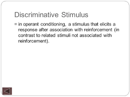 Unit 6 Learning Learning Relatively Permanent Change In An Organism S Behavior Due To Experience Learning What Is Learning Ppt Download