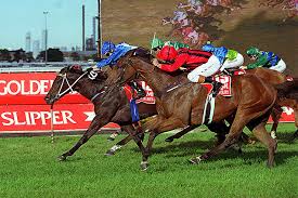 Expert tips, odds and results. 2021 Golden Slipper Race History Racing And Sports