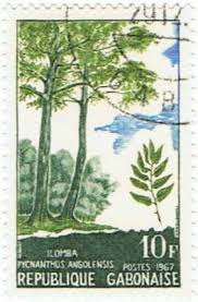 Image result for Pycnanthus