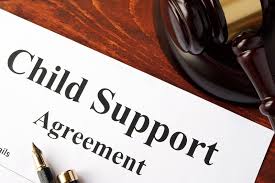 what does child support cover findlaw