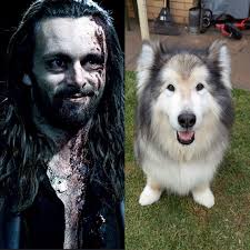 JOIN THE CHALLENGE” You have to publish a photo of your puppy and another  thing suggesting where their name comes from, just that and nothing else.  Then, other people have to try