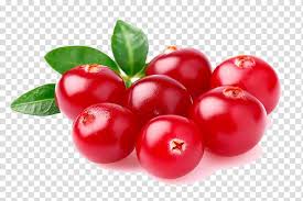 Barbados Cherry Cranberry Juice Vaccinium Corymbosum Fruit Others Transparent Background Png Clipart Hiclipart Large collections of hd transparent cranberry png images for free download. barbados cherry cranberry juice