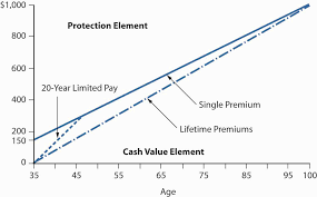 These products include investment funds, life insurance policies with an investment element and however, this period may be extended. Life Insurance Market Conditions And Life Insurance Products