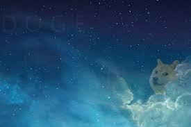 Shiba inu doge, shiba inu, shiba inu dog. Doge Wallpapers Wallhaven Cc