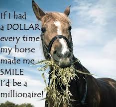 Yes Yes My Sweet Mare Is All That Ever Makes Me Smile Horse Riding Quotes Horse Quotes Funny Horse Quotes