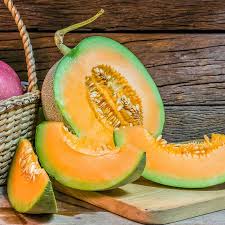 Image result for Cucumis melo