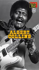 Image result for Albert Collins