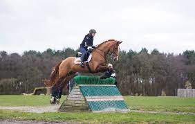 Lucinda Green: How To Become A Good Cross-Country Rider - Horse & Hound