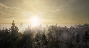 Soulframe - Home - Soulframe