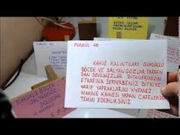 ev yapimi bocek ilaclarimantar ve kuf ilaclarifaydali bilgiler 7 3 sifali kur tarifleri