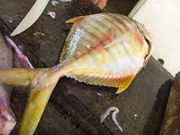 Maybe you would like to learn more about one of these? Chipotle Tartar Sauce Cooking In Mexico