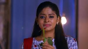 Watch Neethane Enthan Ponvasantham TV Serial 20th September 2020 Full  Episode 77 Online