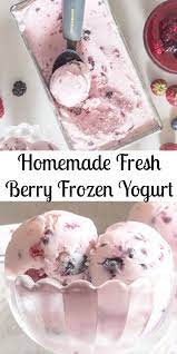 Cookinghealthyfoodrecipes Homemade Frozen Yogurt Frozen Yogurt Ice Cream Maker Recipes