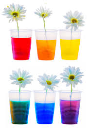 Get your life together with the nifty organization journal: Flower Experiment For Kids
