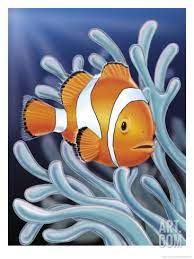If there is anything we can do to help you please let us. A Clown Fish Swimming By Sea Anemones Art Print At Art Com Clown Fish Fish Art Animal Paintings