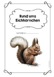Ideenreise Expertenheft Rund Ums Eichhornchen Eichhornchen Wald Grundschule Grundschule