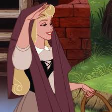 Aurora Sleeping Beauty Briar Rose Brown And Black Dress Disney Princess Aurora Classic Disney Disney Sleeping Beauty