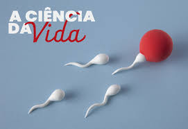 reprodução Archives - O Prelo