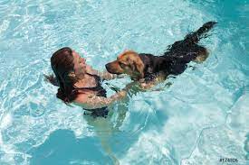 Frau Schwimmen mit Hund - Foto vorrätig 174326 | Crushpixel