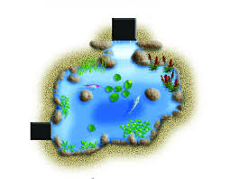 Pond construction is the most important part of the pond owning experience. Diy Backyard Pond Kit Backyard Pond Kits Water Garden Water G