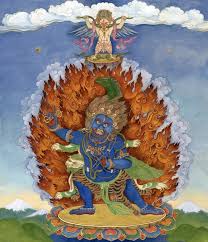 Image result for Vahadenia