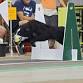 256-730 - FLYBALL -  ALL LEVELS event image