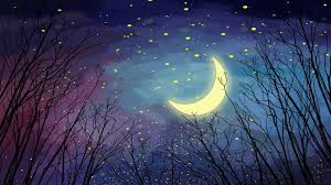 Beautiful Night Sky Silhouette Star Branch Sky Night Forest Moon Starry Sky Night Forest Forest Moon Beautiful Night Sky