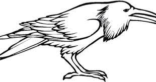 Some of the coloring page names are pin on childrens ministry elijah elisha kings prophets of divided kingdom, elijah and the ravens coloring childrens ministry deals, elijah elijah accept food from ravens coloring elijah accept food from ravens coloring, crows fed elijah coloring crossmap, 11 best elijah and elisha. Raven Bird Coloring Page From Ravens Category Select From 25887 Printable Crafts Of Cartoons Nature Animals Bird Coloring Page Bird Coloring Coloring Pages