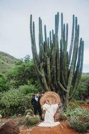 Boho Elopement At The Koko Crater Botanical Gardens Oahu Hawaii Mark Kelly Honolulu Wedding Photographer Elopement Engagement Family Photographers Hawaii Wedding Photography Honolulu Wedding Hawaii Wedding Photographer