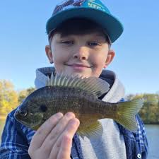 First decent fish caught