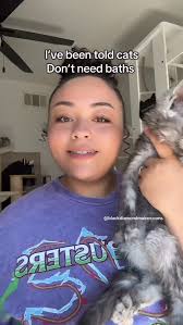 The secret to a cool maine coon is bathing! 🧼 , #mainecoon #catsofig  #mainecoonsofinstagram #kittens #catsofinstagram #kittensofig #mainecoons  #mainecooncat #kittensofinstagram #catsofinsta