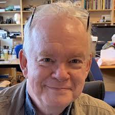 Emeritus Professor Robert Stone