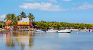 In the past 72 hours, the cheapest rental cars were found at hertz ($35/day), colusa rent a car ($42/day) and avis ($47/day). Key Largo Travel Cost Average Price Of A Vacation To Key Largo Food Meal Budget Daily Weekly Expenses Budgetyourtrip Com