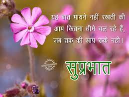 Well, our team has crafted very beautiful good morning pictures with hindi quotation on them. 80 Good Morning Hindi Pictures Images Photos