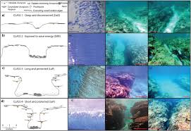 a morphometric assessment and classification of coral reef