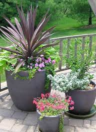 Seasonal Color Des Moines Iowa Landscaping Perennial Gardens Container Gardening Succulent Landscape Design Succulent Landscaping