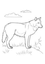 Rehe, wölfe, bären, löwen, tiger, krokodile, usw. Ausmalbilder Fur Kinder Wolf 3 Ausmalbilder Ausmalen Malvorlagen Tiere