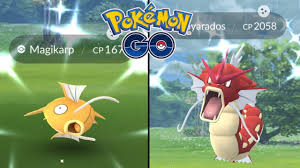 Pokemon go hasn't gone all the way with shiny pokemon just yet, but you can now get your hands on the most iconic ever shiny pokemon: How Rare Is Wild Shiny Gyarados Magikarp In Pokemon Go Lunar New Year Event Shiny Rates 2020 Youtube