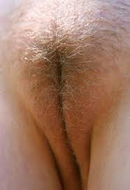 My camel toe always gets noticed when i go out. Hairy Camel Toes Cumception