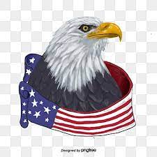 Hand Painted American Flag Eagle Animal National Flag Icon Png And Vector With Transparent Background For Free Download Hand Painted American Flag American Flag Eagle American Flag Background