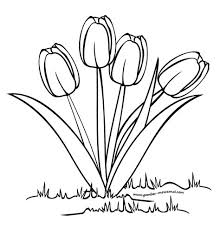 Check spelling or type a new query. Mewarnai Bunga Tulip Contoh Gambar Mewarnai Di 2021 Sketsa Bunga Sketsa Bunga Tulip