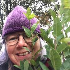 Stream Alison West composer music