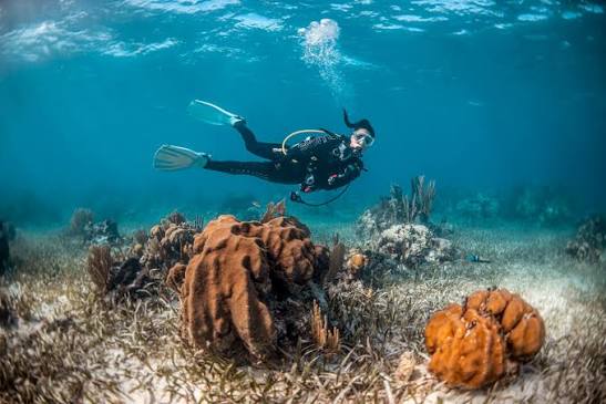 Sapi Island Diving Day Tour - SabahTravel