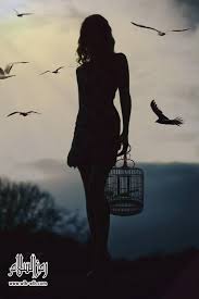 Silhouette Photography Silhouette Photography