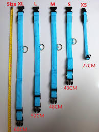 1 Glowing Led Dog Collar Bestseller Mydogcollars