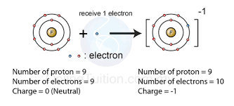 61 ionic bonding worksheet answer key wednesday, january 27, 2021 add comment edit. Ionic Bonding Flashcards Quizlet